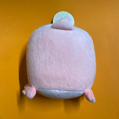 Kawaii Sale 🧡👑 Medium Plush Axolotl (#55)
