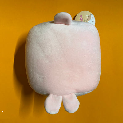 Kawaii Sale 🧡👑 Medium Plush Bunny (#56)