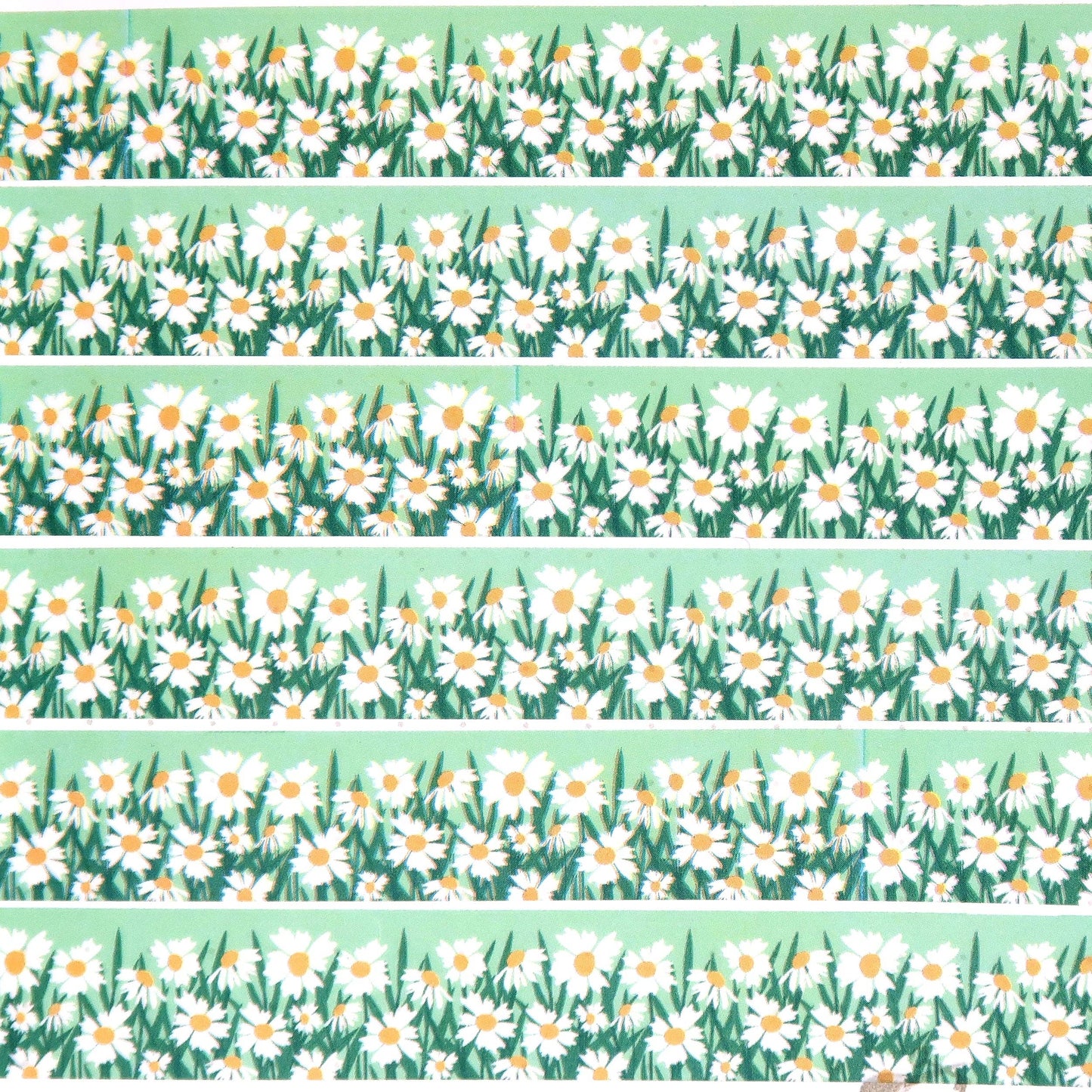 Washi Tape - Daisies Border