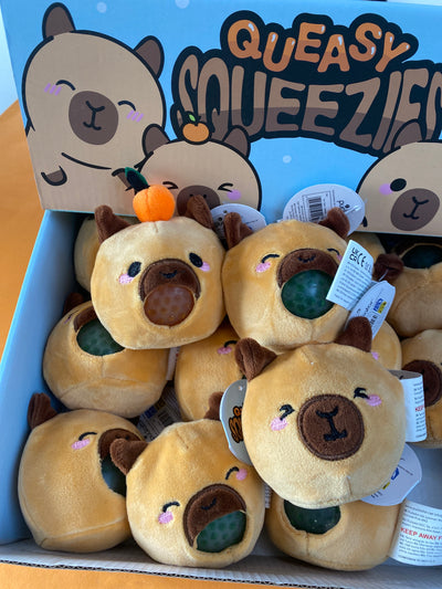 Kawaii Garage/Faulty Sale 🧡👑 FAULTY squeezie plushie capibara 1 pcs surprise (#18)
