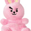 BT21 Cooky Pal Plush - 13 cm